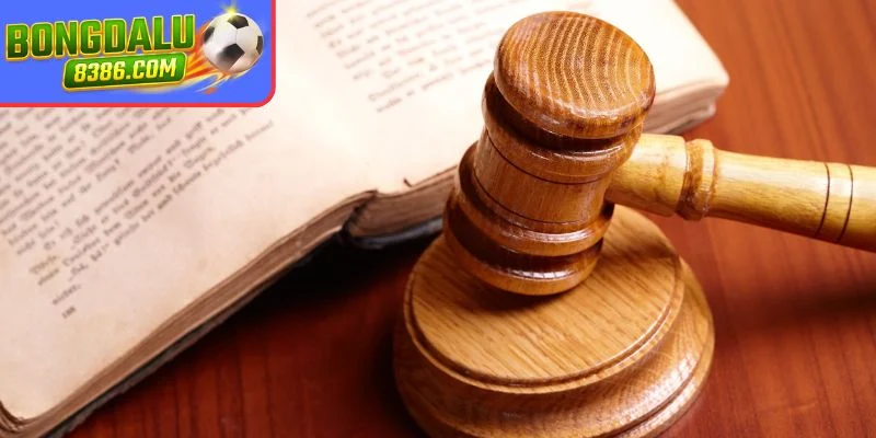 Nghĩa vụ của người dùng