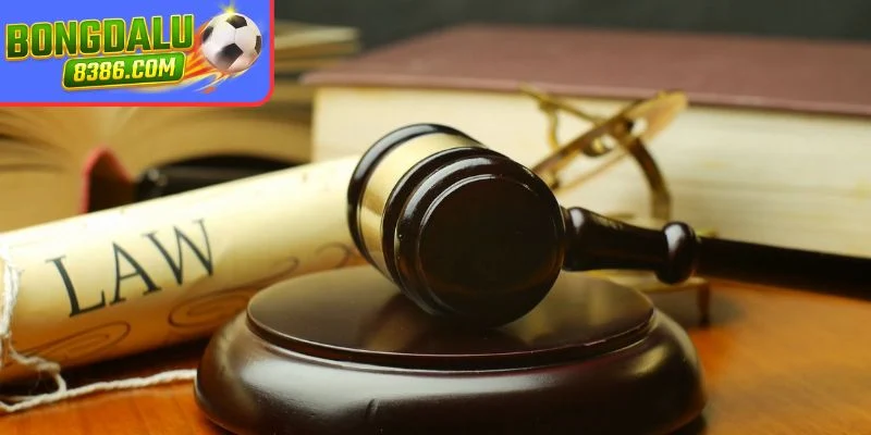 Phạm vi áp dụng và đối tượng được bảo vệ