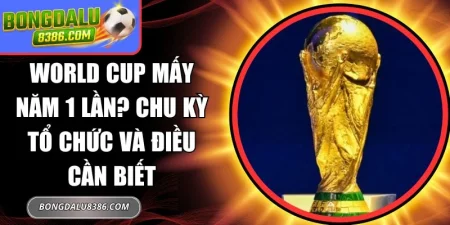 World Cup mấy năm 1 lần